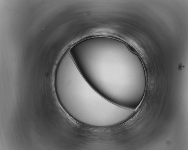 X0000098081384200804040741