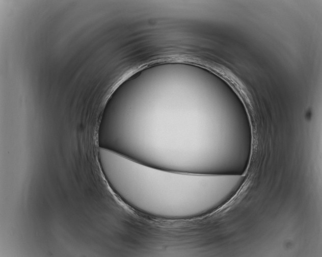 X0000098081385200804040741