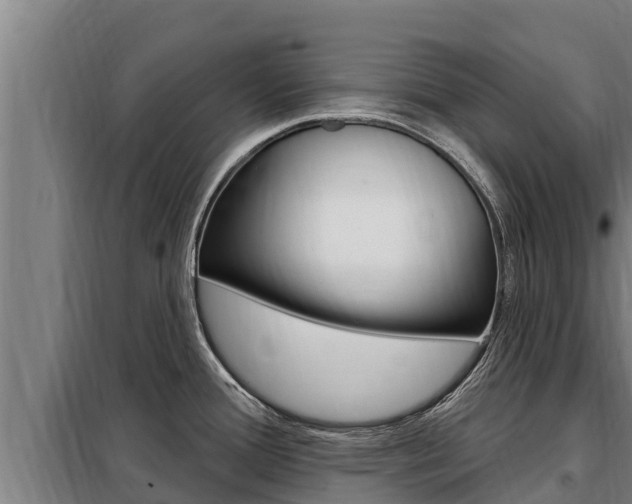 X0000098081388200804040741