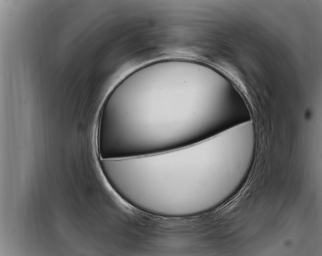 X0000098081391200804040741