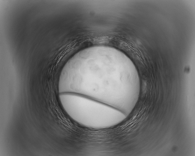 X0000098081393200804040740