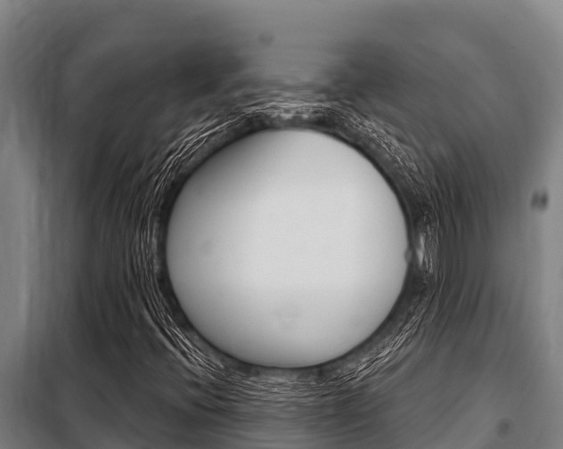 X0000098081396200804040741