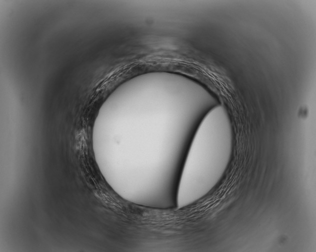 X0000098081397200804040741