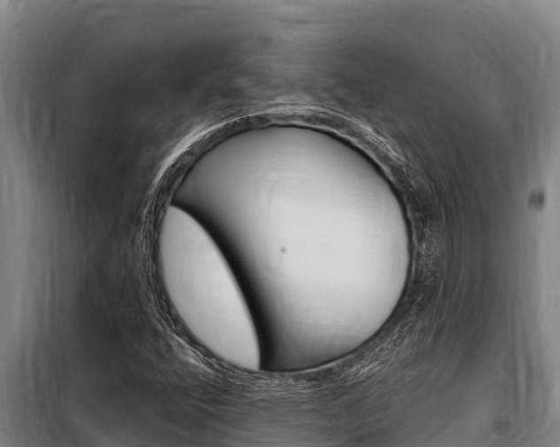 X0000098081400200804040741