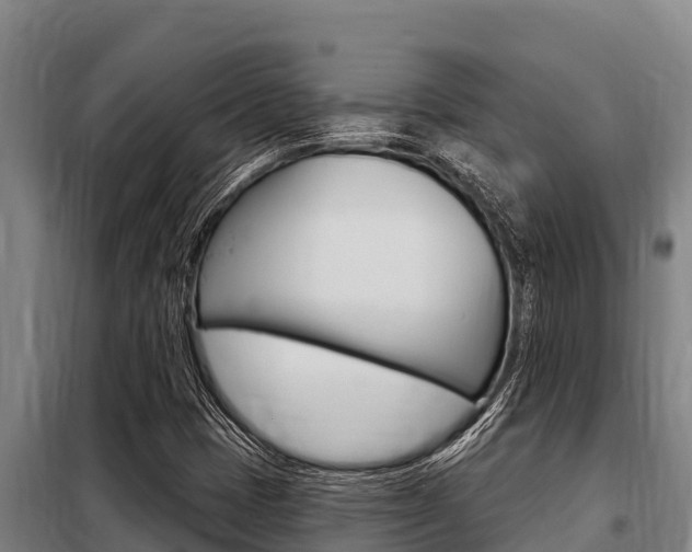 X0000098081401200804040741