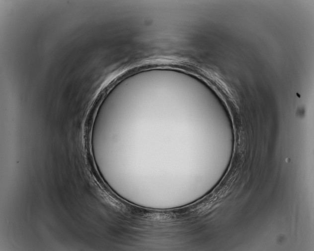 X0000098081404200804040741