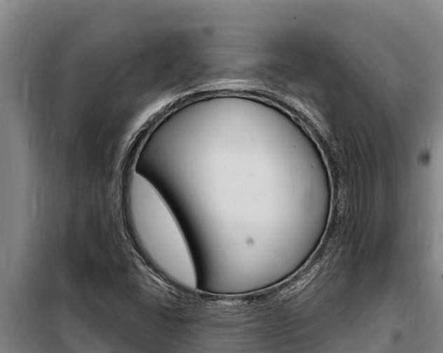 X0000098081406200804040741
