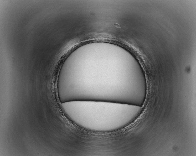 X0000098081407200804040741