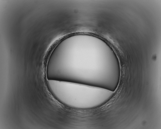 X0000098081408200804040741