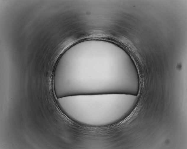 X0000098081409200804040741