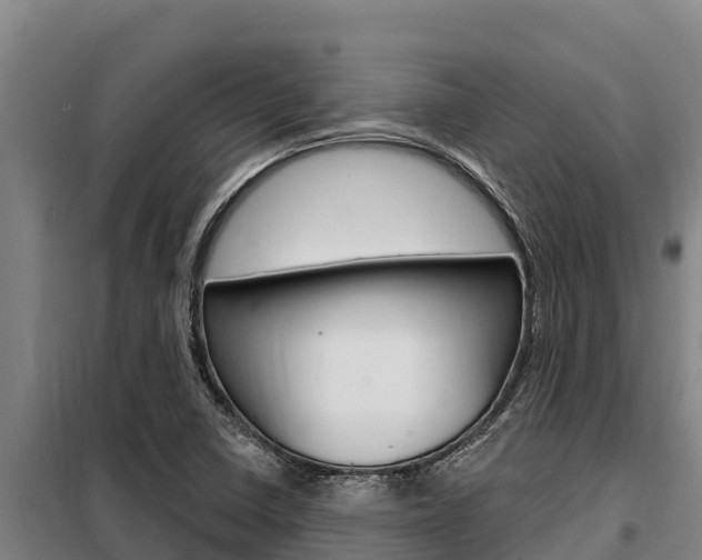 X0000098081410200804040741