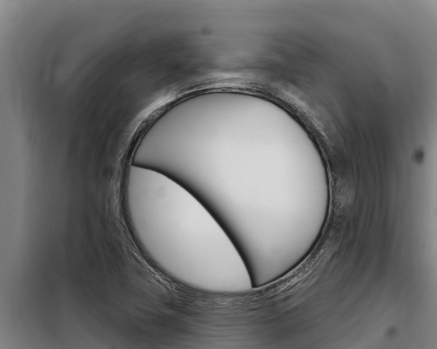 X0000098081411200804040741