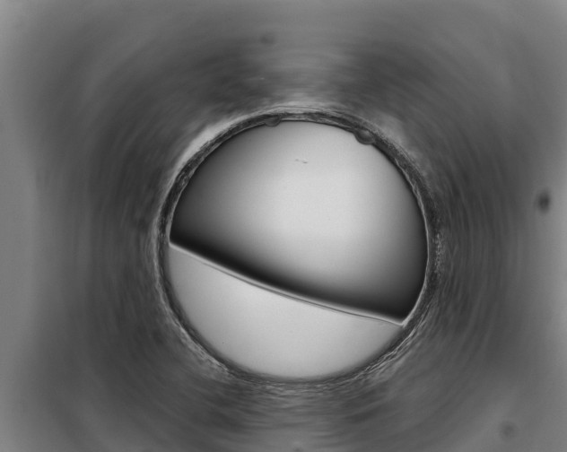 X0000098081412200804040741