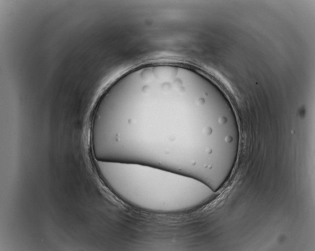 X0000098081413200804040741