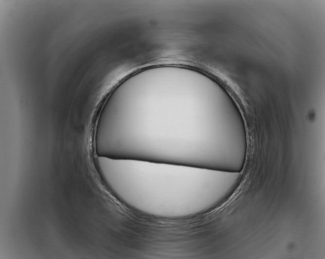 X0000098081415200804040741