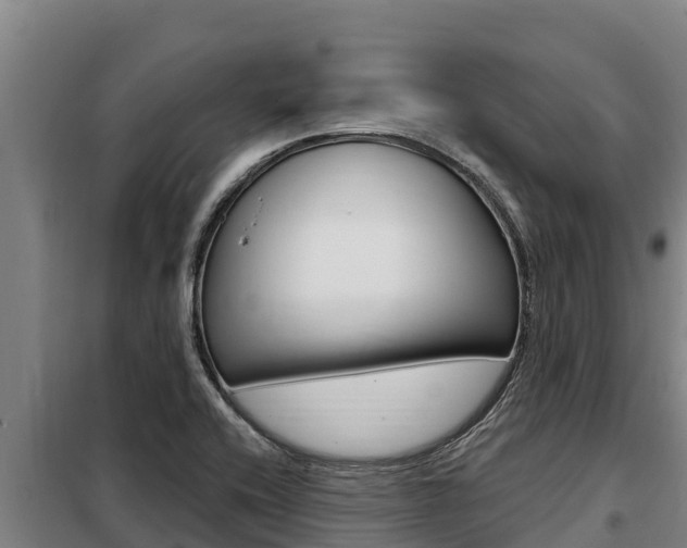 X0000098081416200804040741