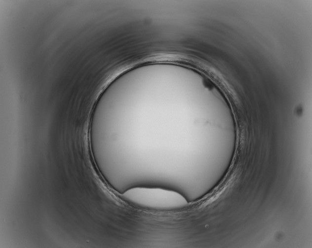 X0000098081417200804040741