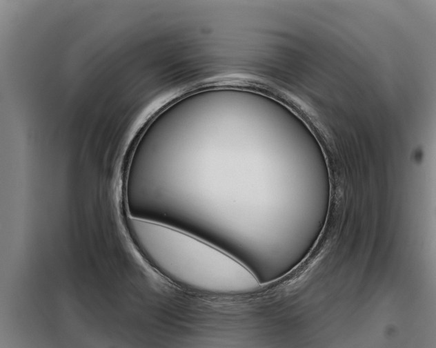 X0000098081418200804040741