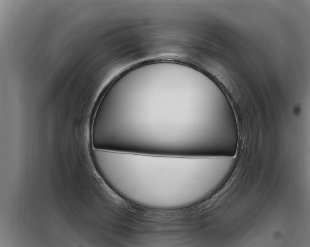 X0000098081420200804040741