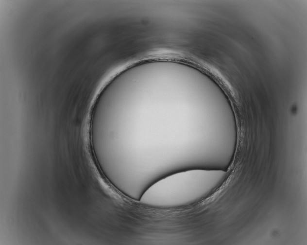 X0000098081421200804040741