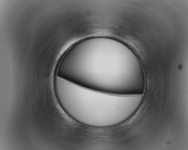 X0000098081422200804040741