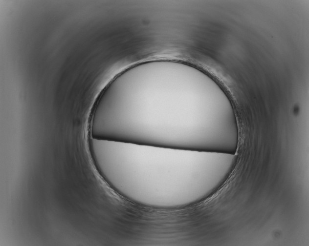 X0000098081423200804040741