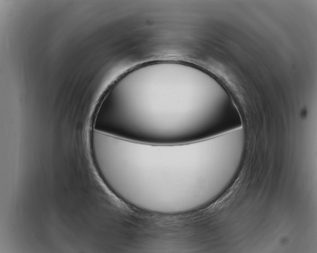 X0000098081424200804040741