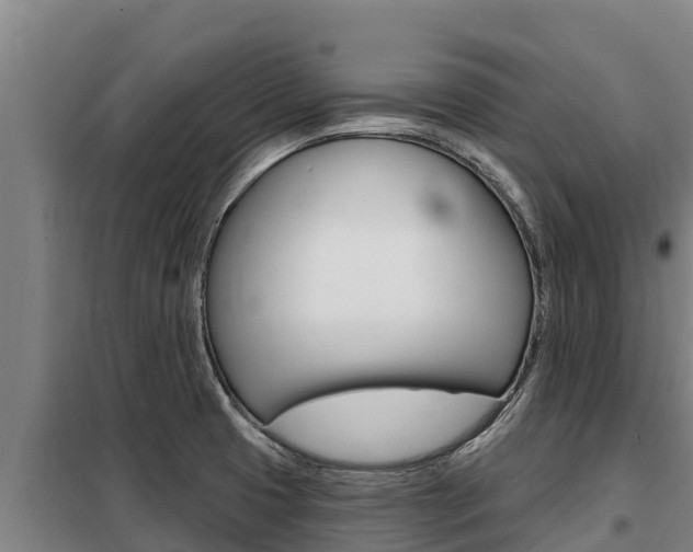 X0000098081425200804040741