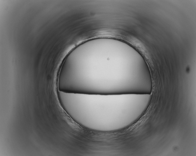 X0000098081427200804040741