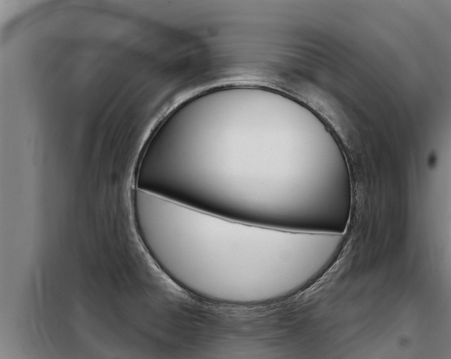 X0000098081428200804040741