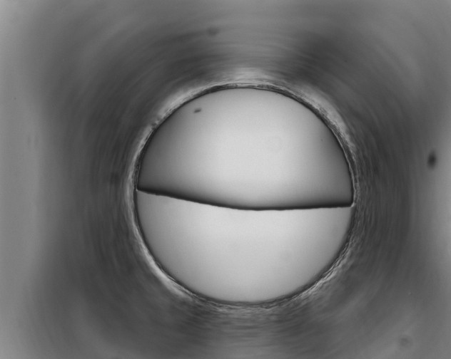 X0000098081429200804040741