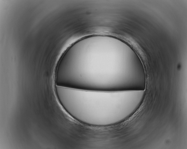 X0000098081432200804040741
