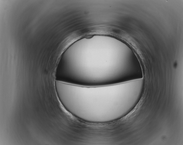 X0000098081433200804040741