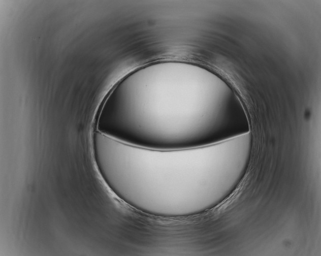 X0000098081434200804040741
