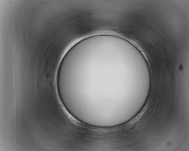 X0000098081438200804040741