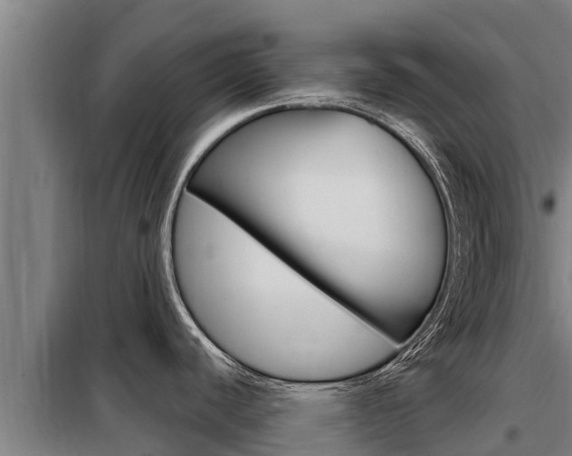 X0000098081440200804040741