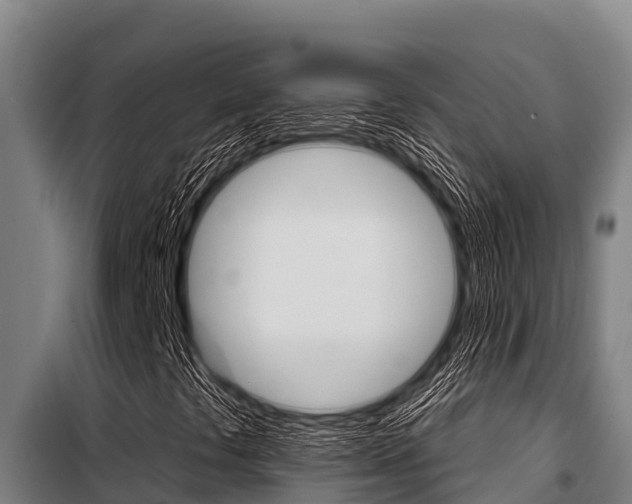 X0000098081441200804040740