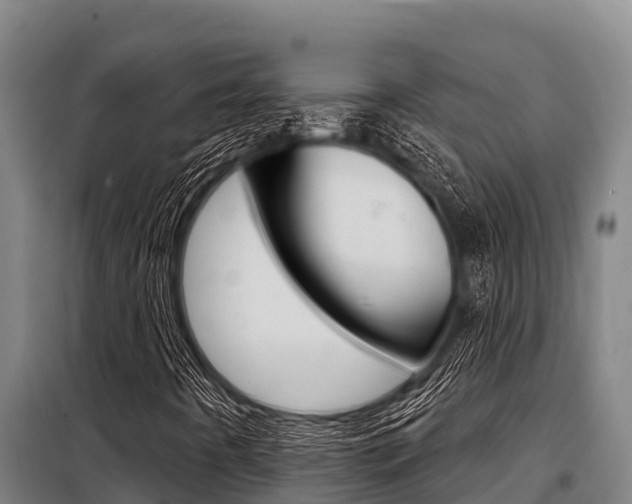 X0000098081442200804040740