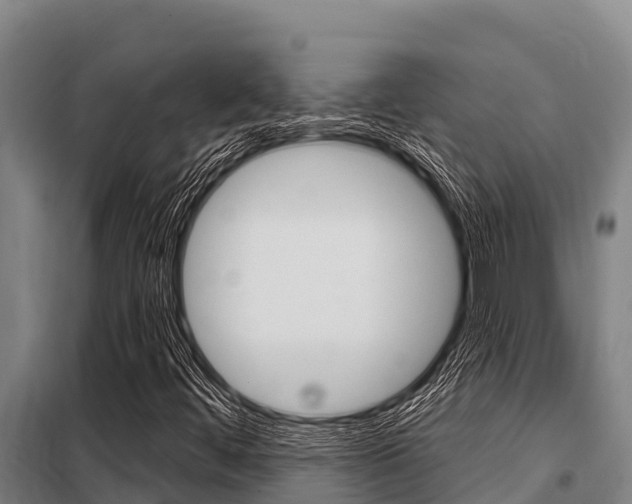 X0000098081444200804040740