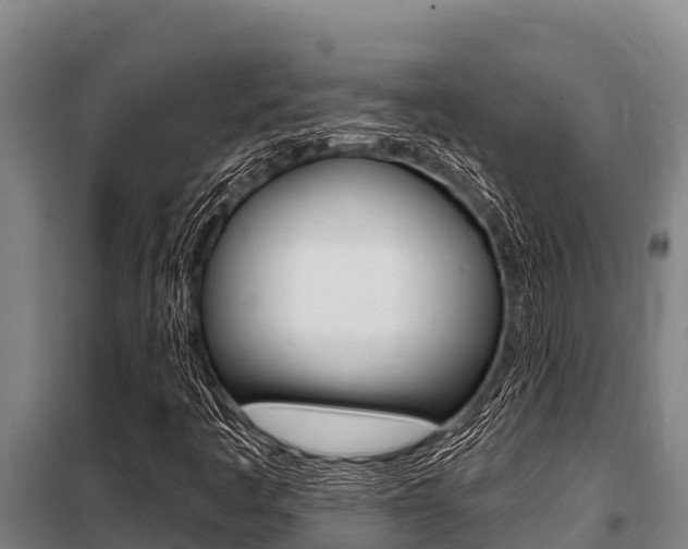 X0000098081445200804040740