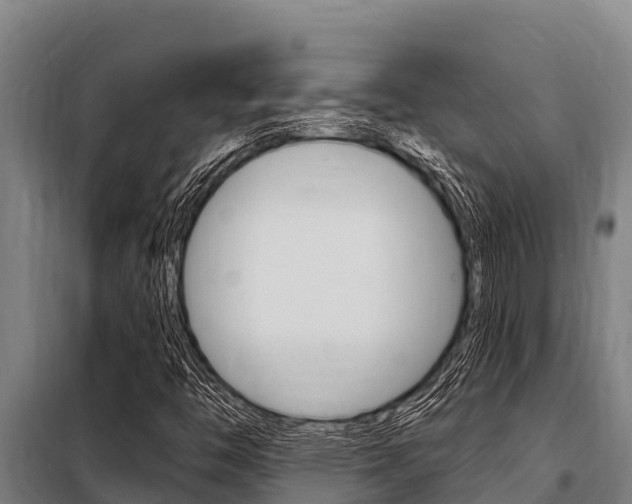 X0000098081446200804040740
