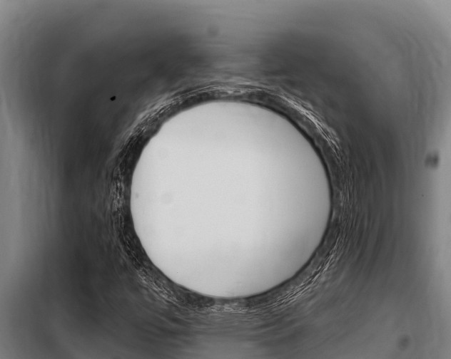 X0000098081447200804040740