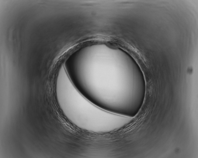 X0000098081448200804040740