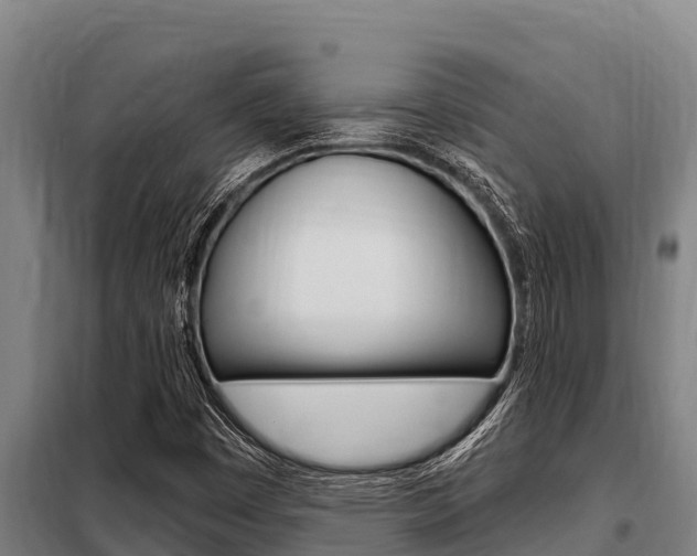 X0000098081449200804040740