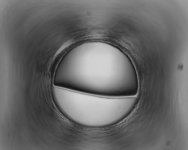 X0000098081450200804040740