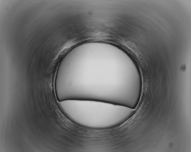 X0000098081451200804040740