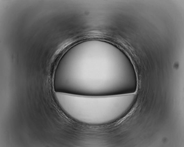 X0000098081453200804040740