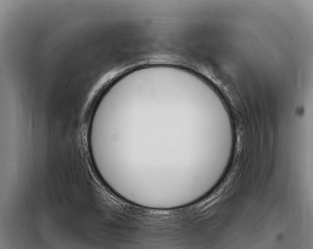 X0000098081454200804040740