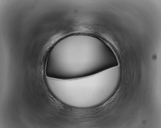 X0000098081455200804040740