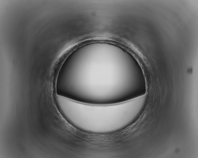 X0000098081456200804040740
